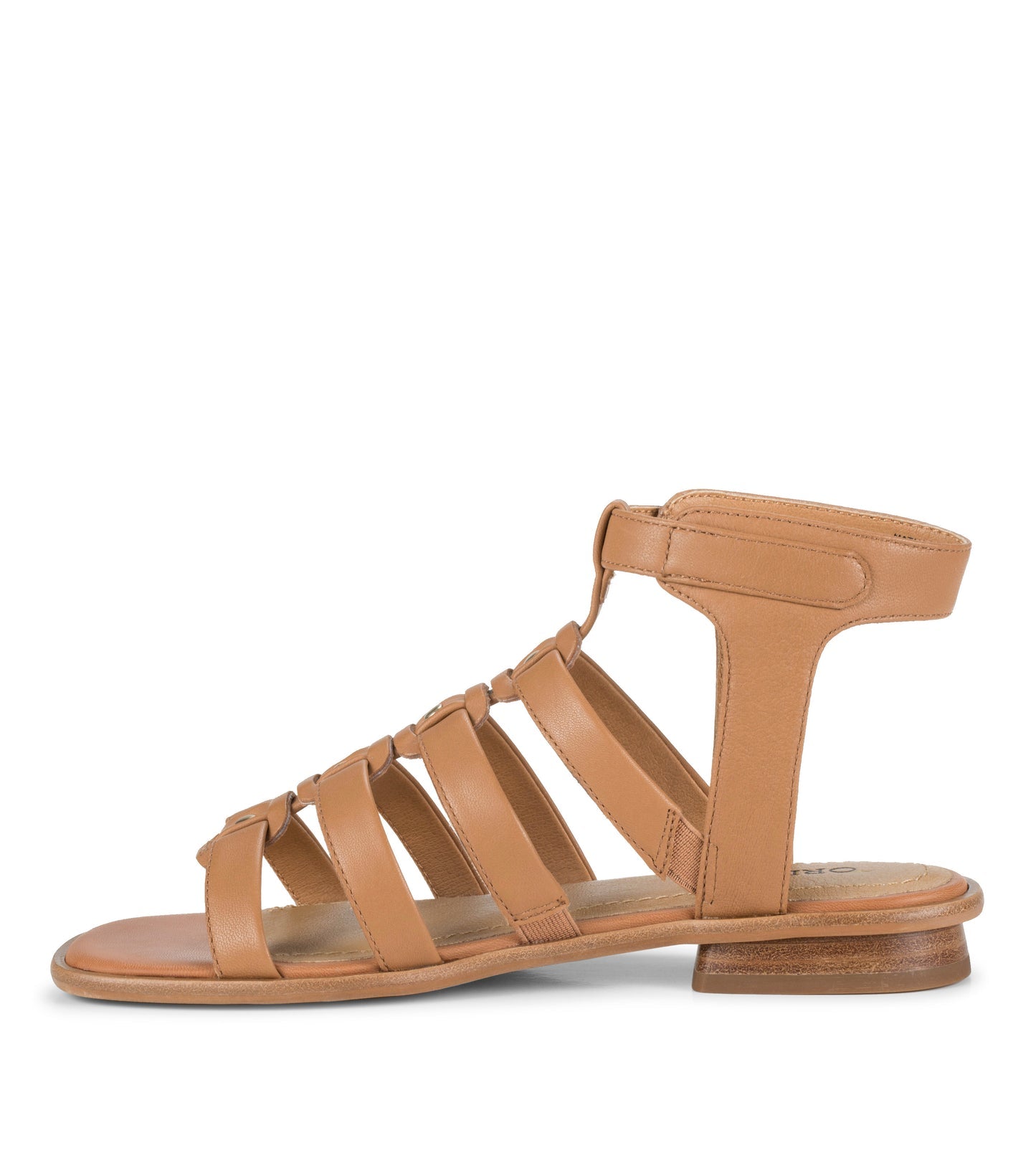 Nathalia Gladiator Sandal / Baretraps