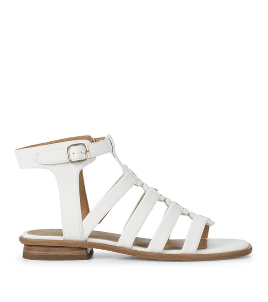 Nathalia Gladiator Sandal / Baretraps