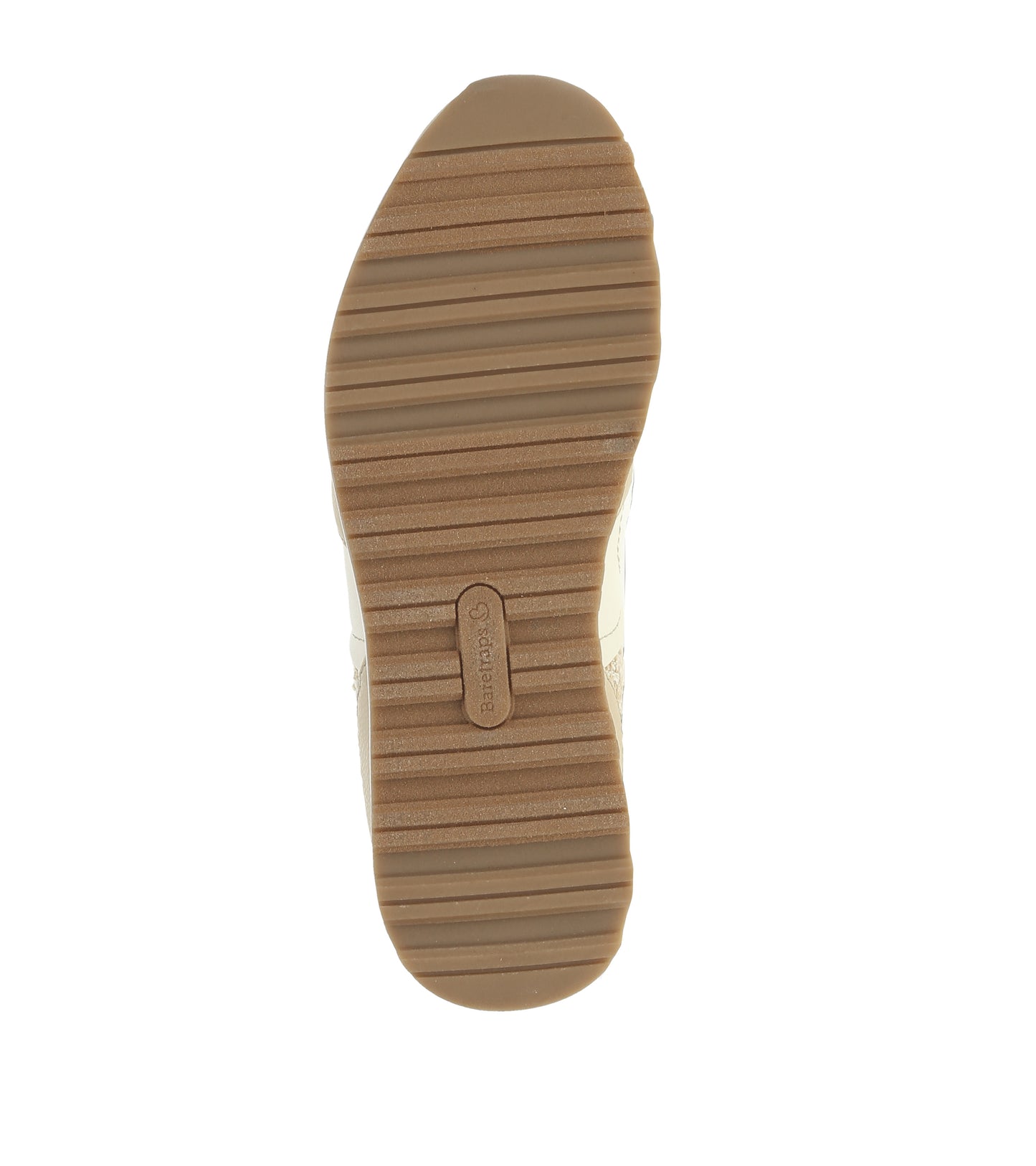 Gwenda Lace Up Sneaker / Baretraps