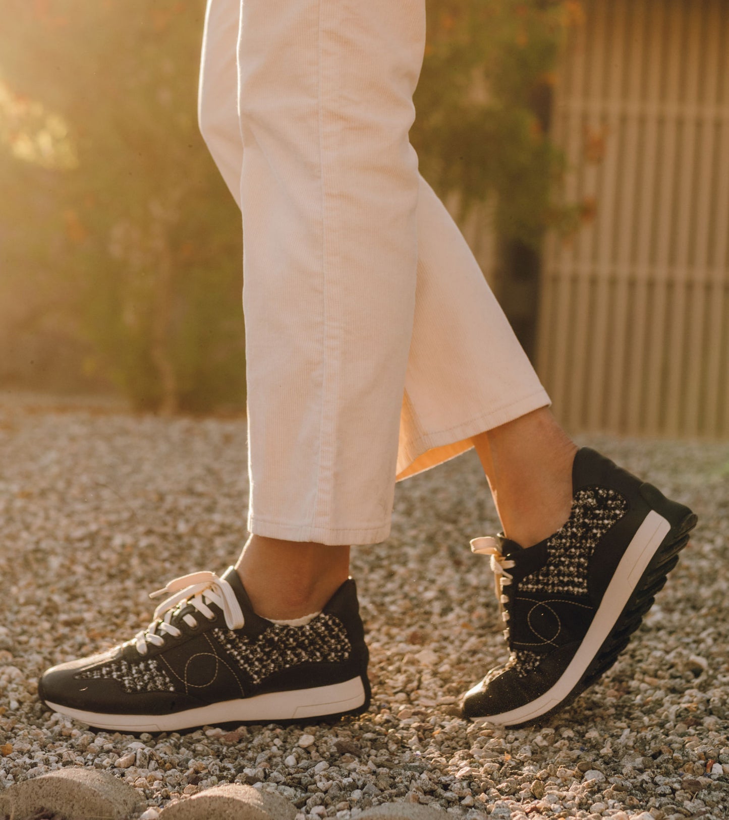 Gwenda Lace Up Sneaker / Baretraps
