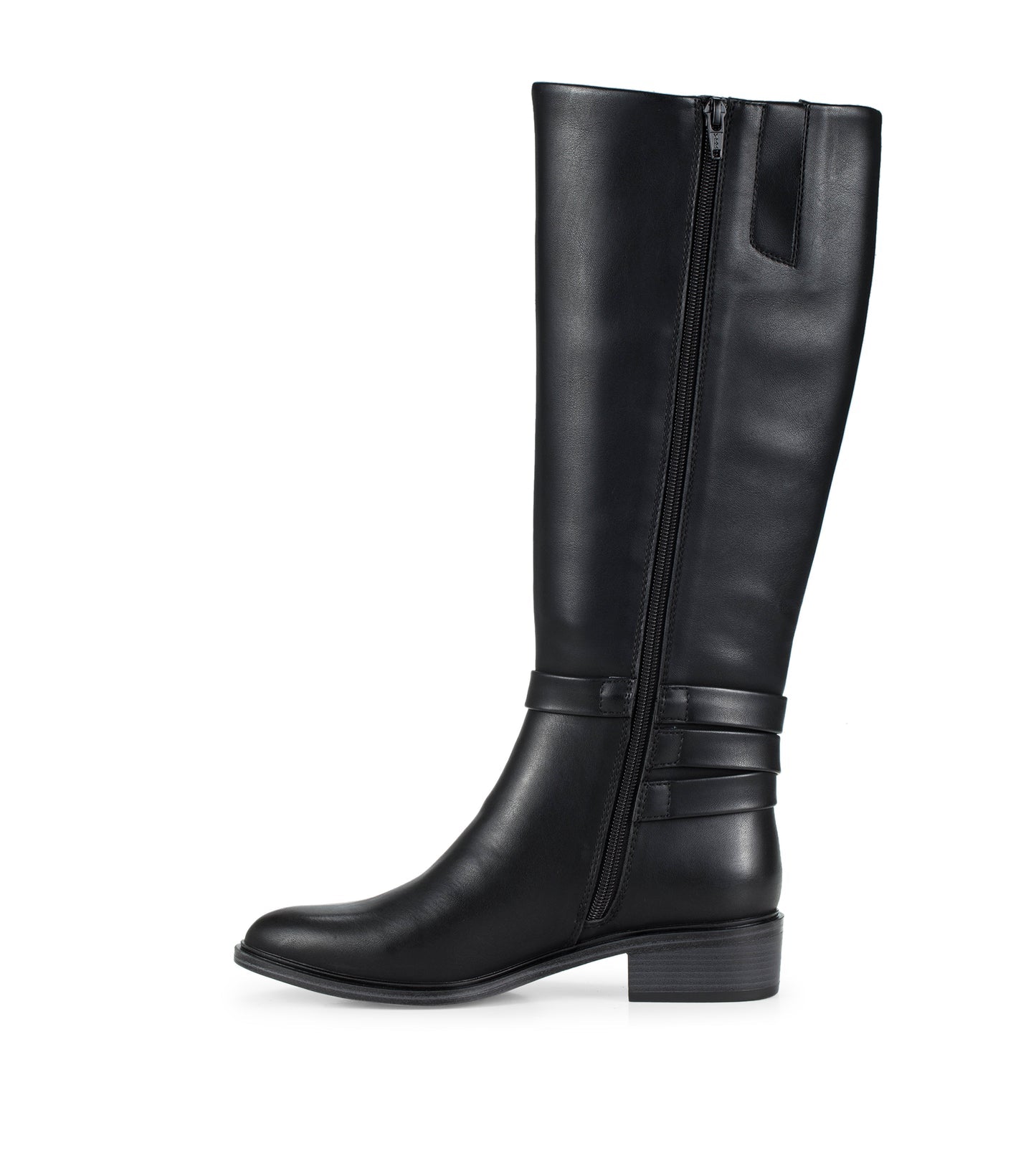 Audria Tall Boot / Baretraps
