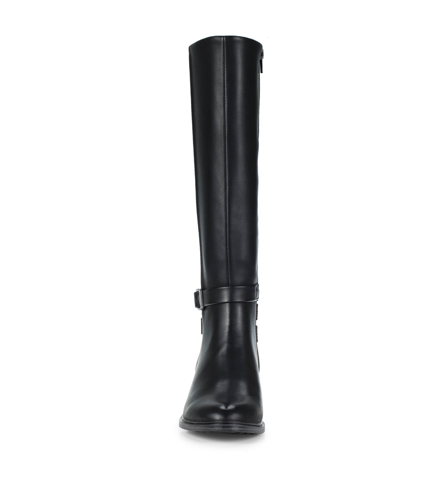 Audria Tall Boot / Baretraps