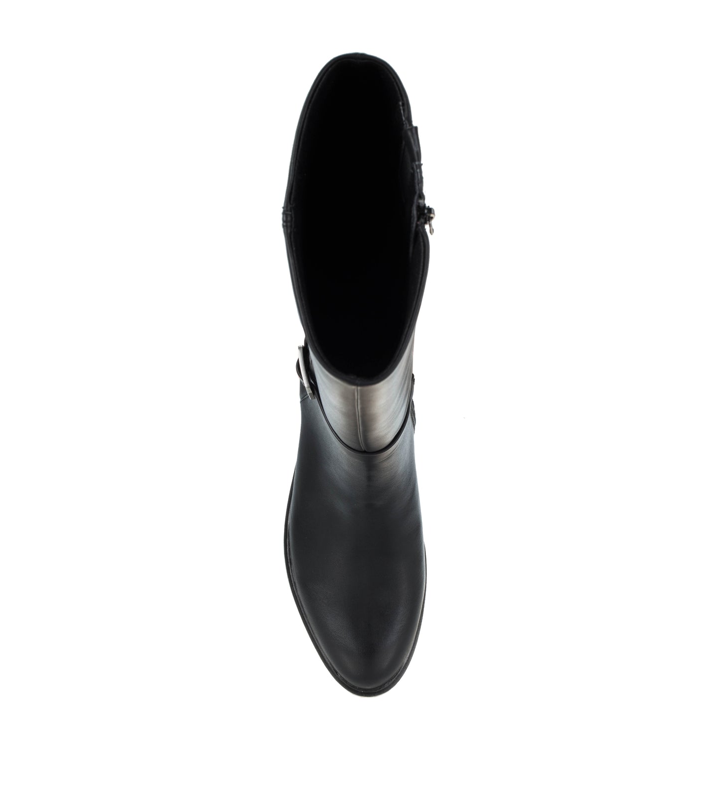 Audria Tall Boot / Baretraps
