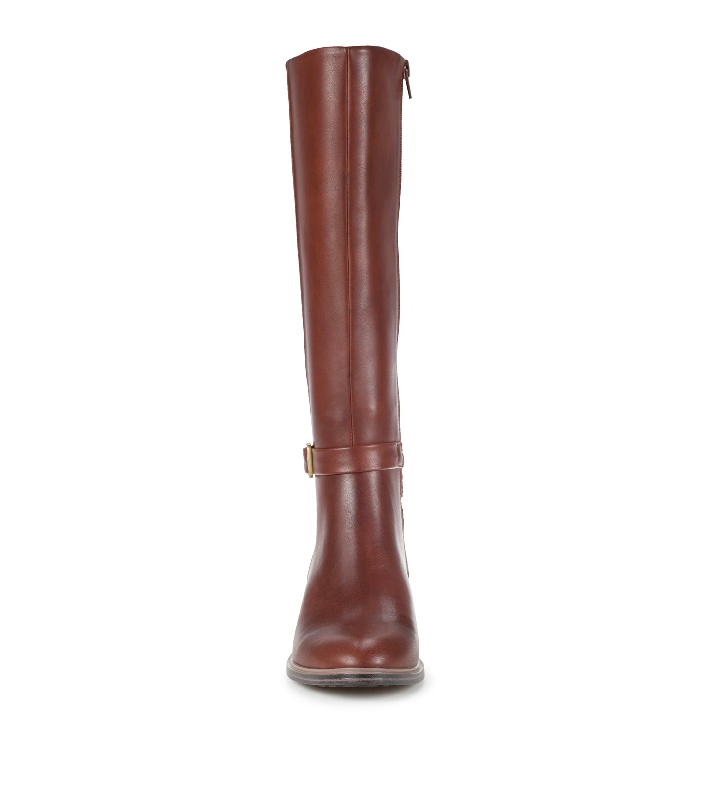 Audria Tall Boot / Baretraps