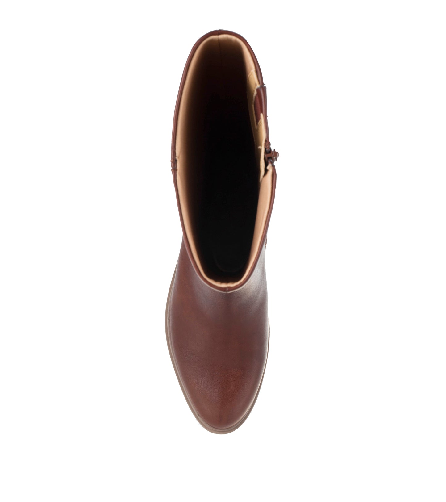 Audria Tall Boot / Baretraps