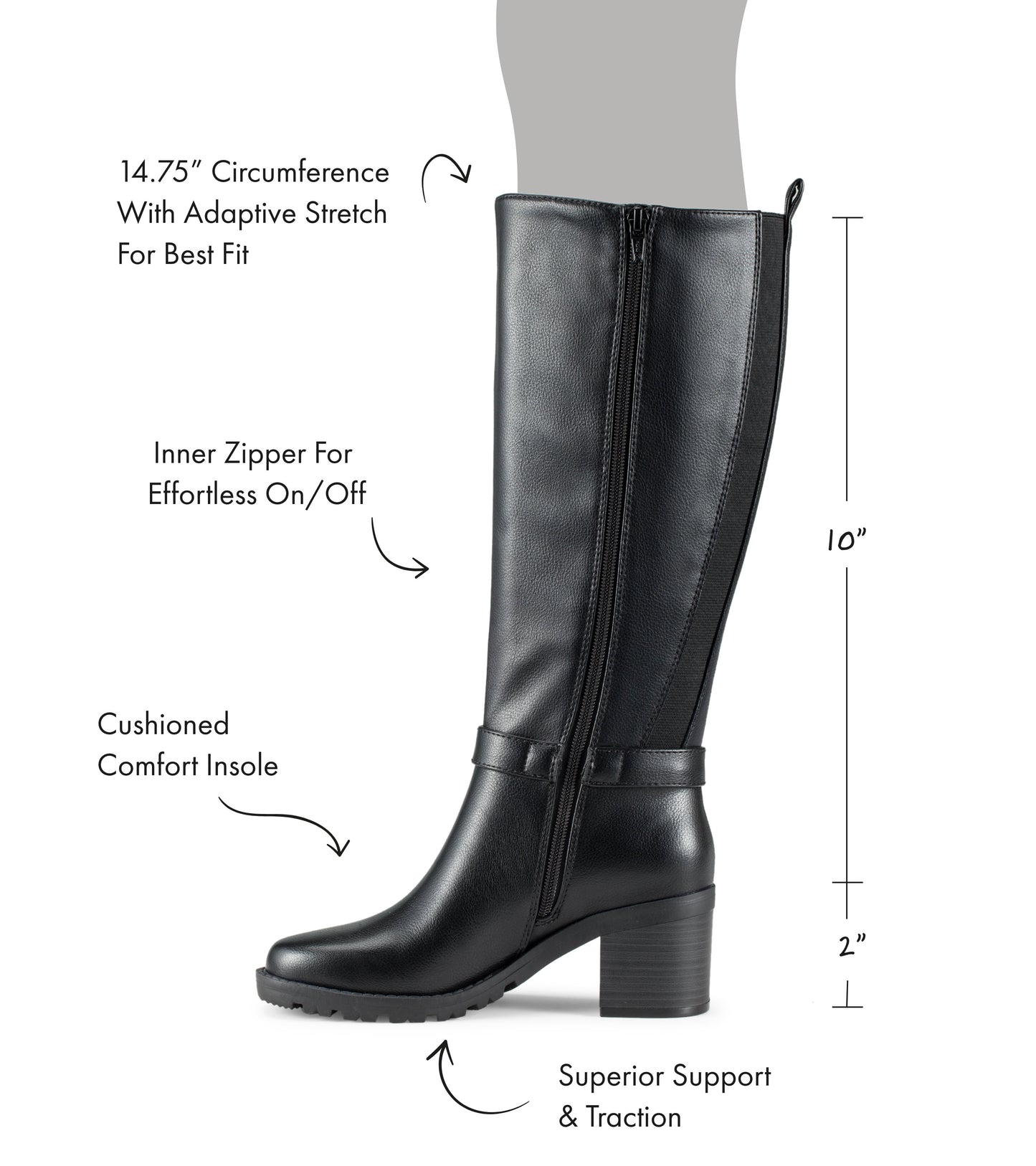 Dylia Tall Boot / Baretraps
