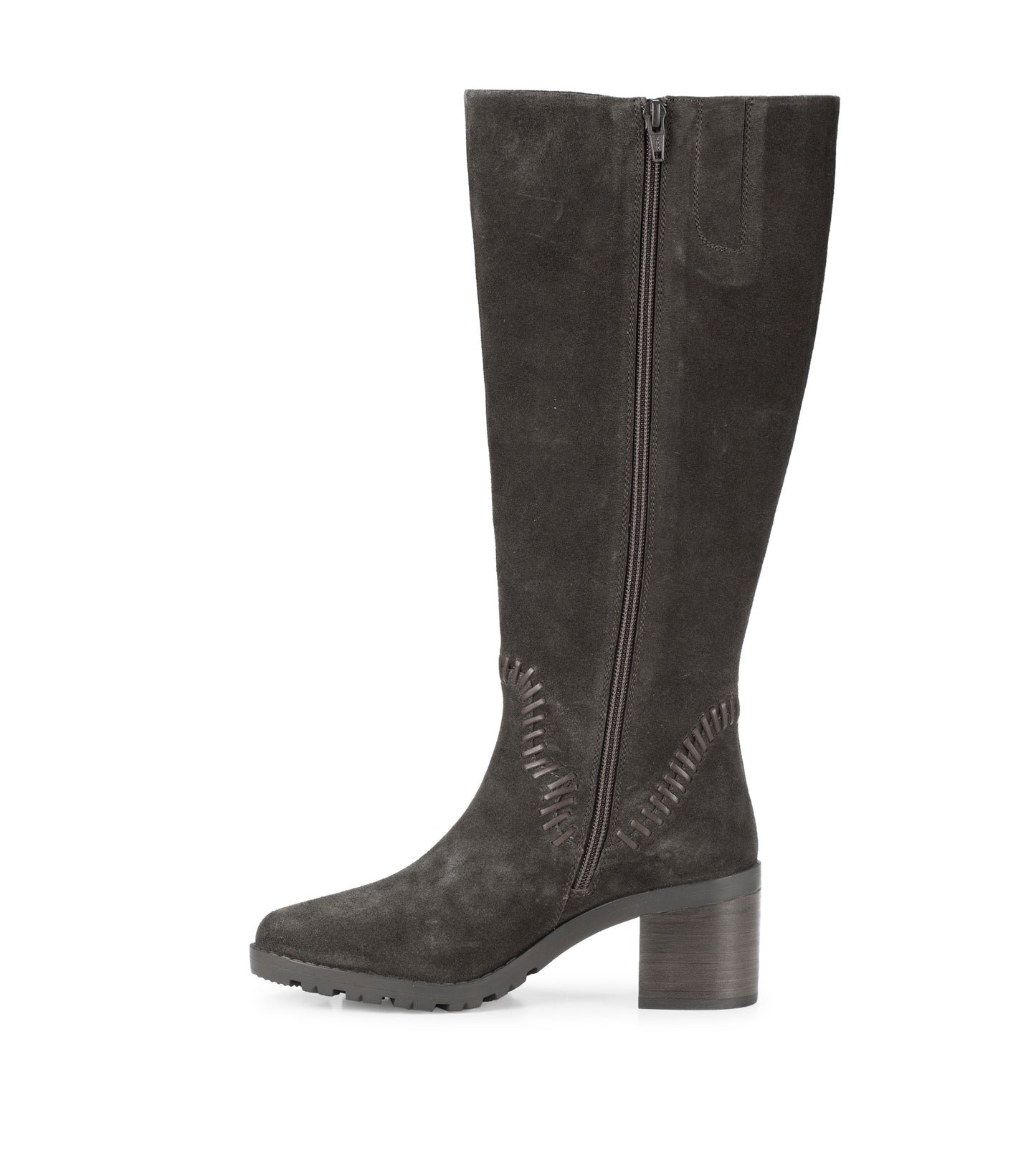 Darcie Tall Boot / Baretraps