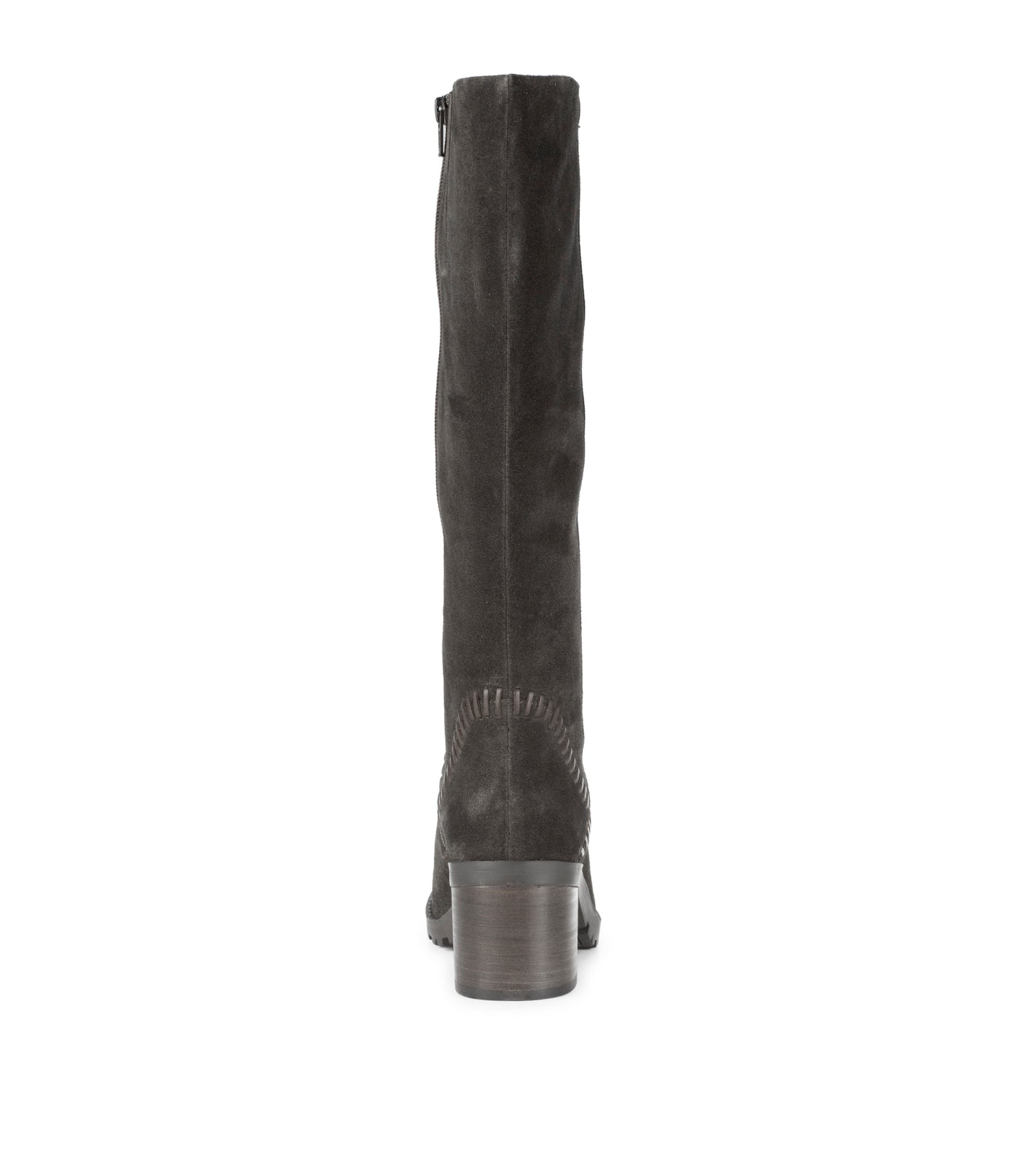 Darcie Tall Boot / Baretraps