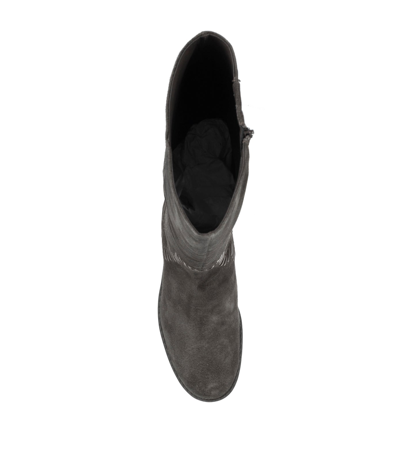 Darcie Tall Boot / Baretraps