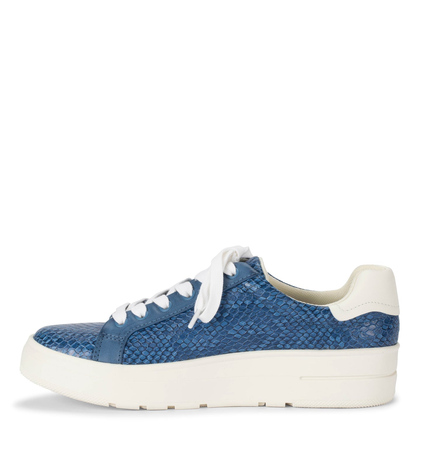 Nishelle Lace Up Sneaker / Baretraps