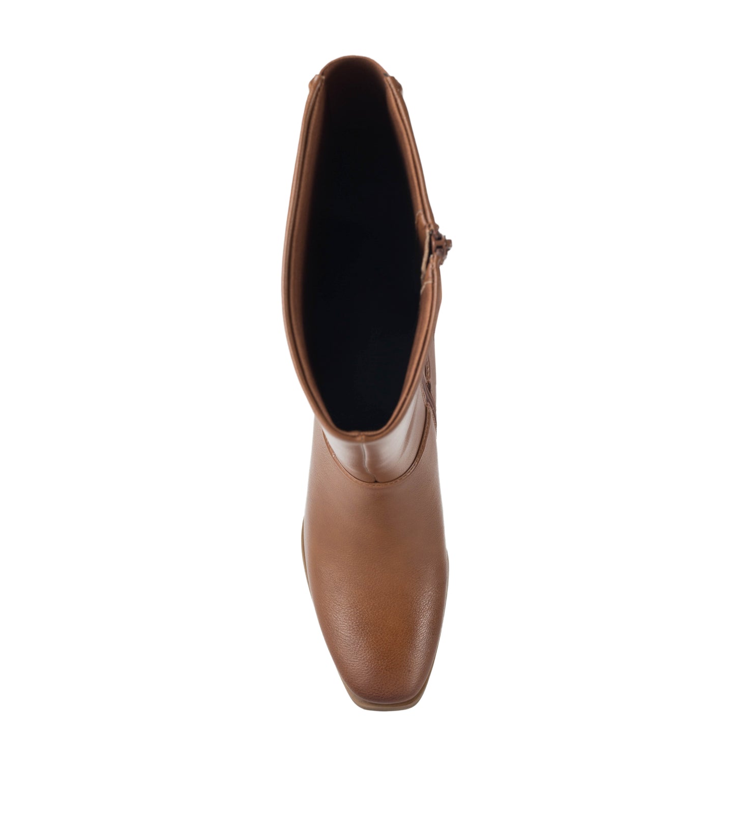 Thalia Tall Boot / Baretraps