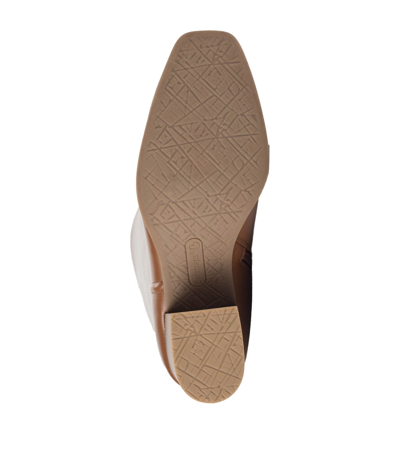 Thalia Tall Boot / Baretraps