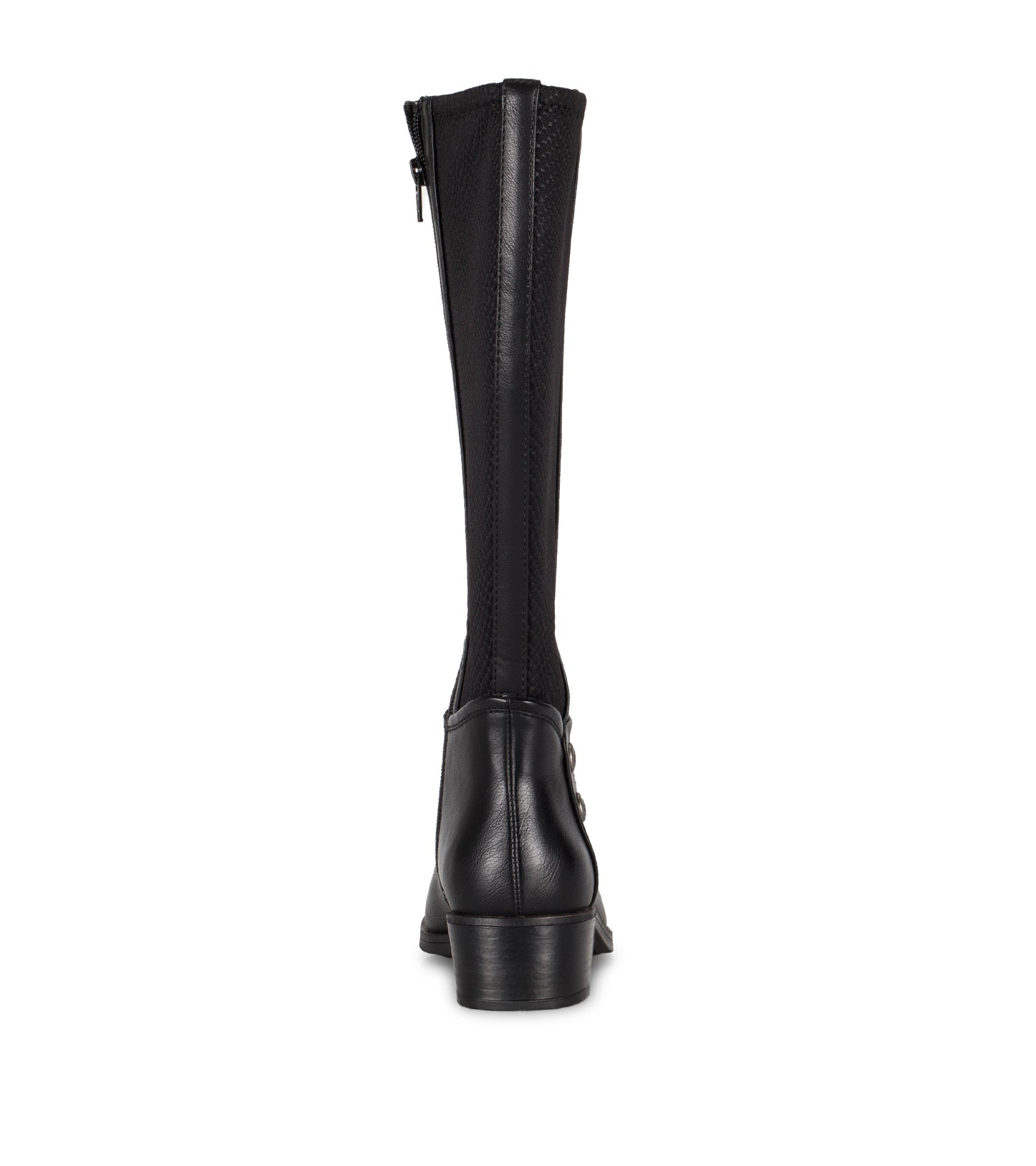 Madelyn Tall Boot / Baretraps