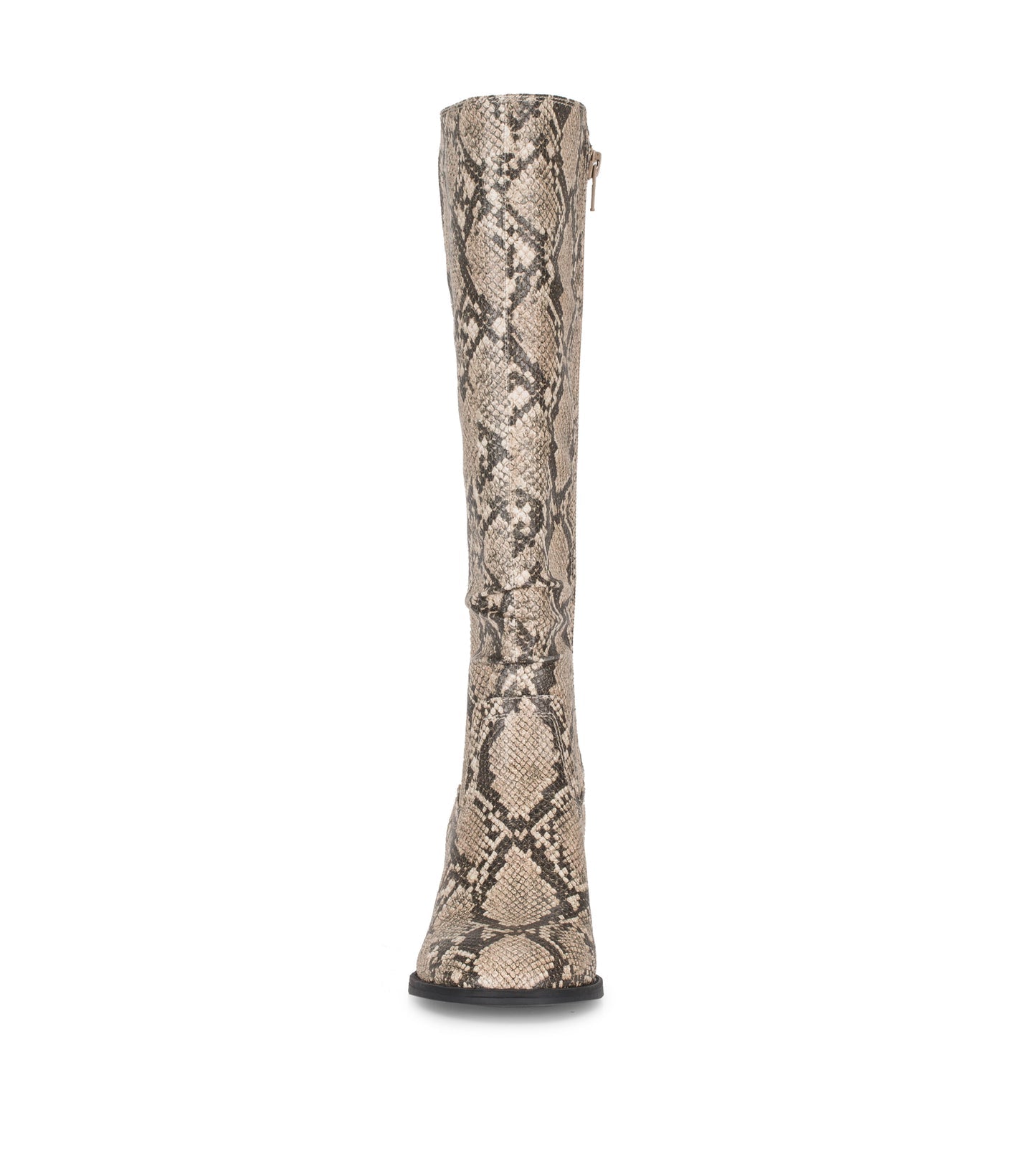 Lilly Tall Boot / Baretraps