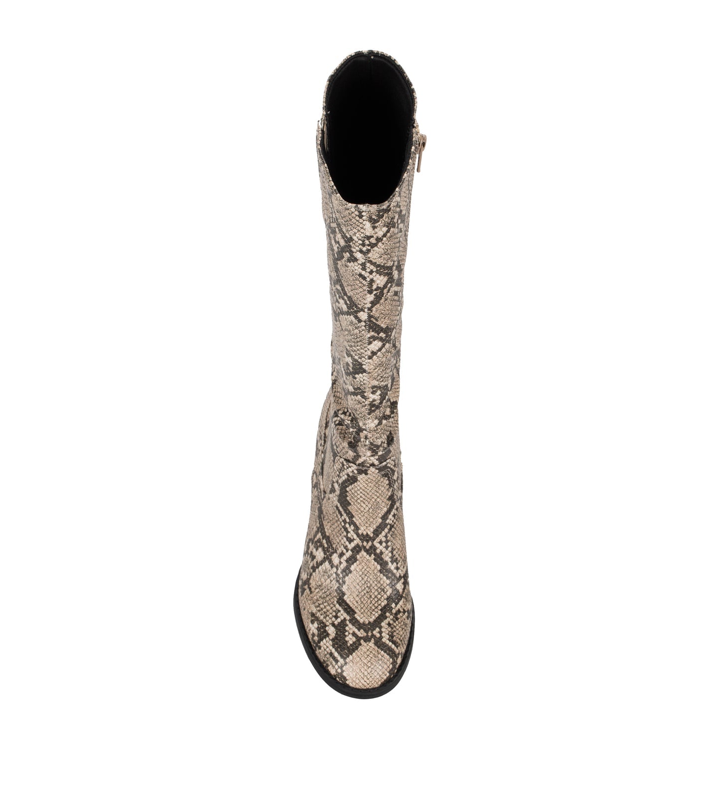Lilly Tall Boot / Baretraps