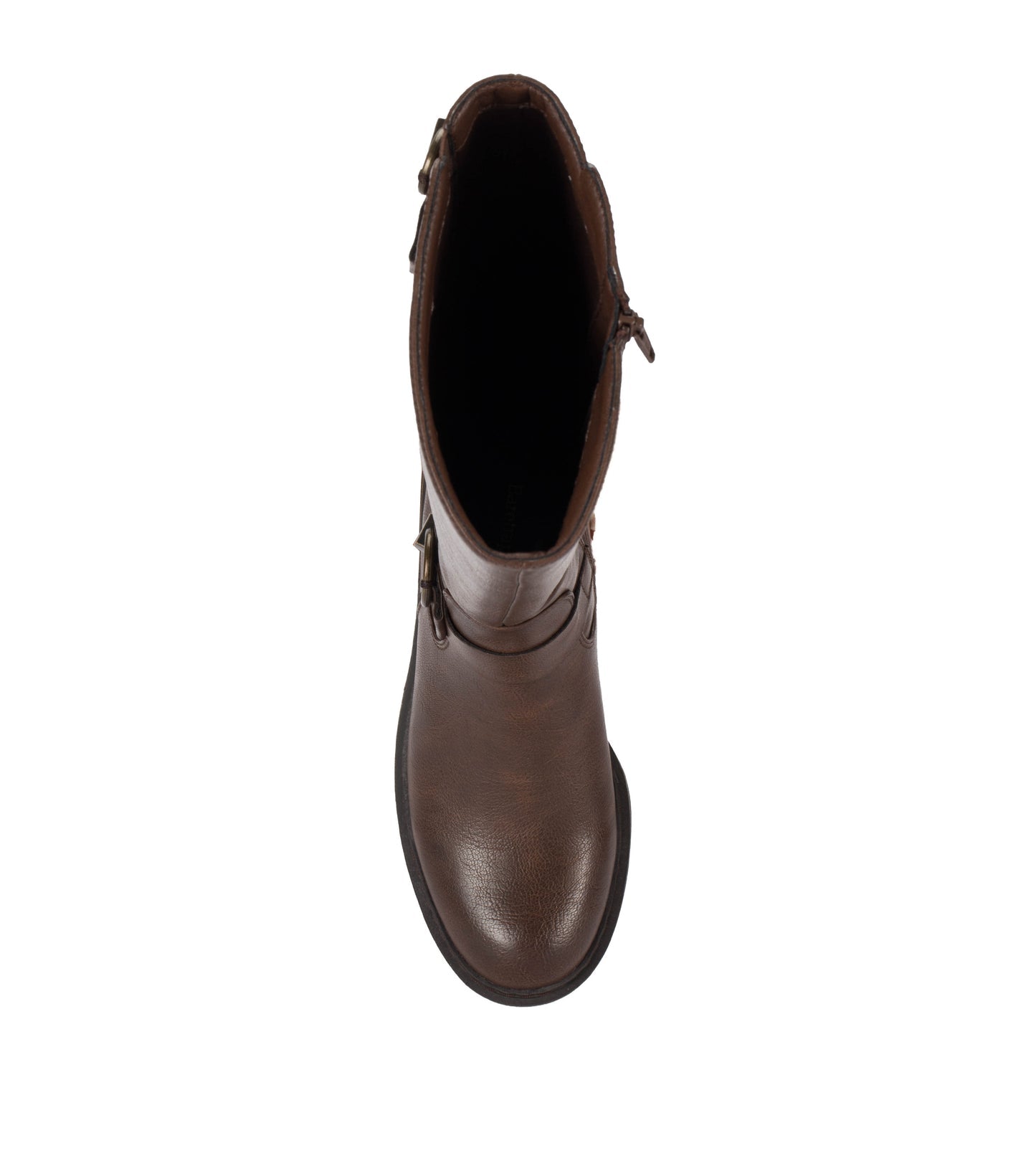 Aphrodite Tall Boot / Baretraps