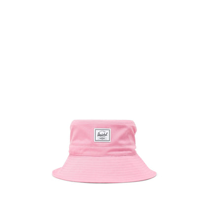 Cashmere Rose