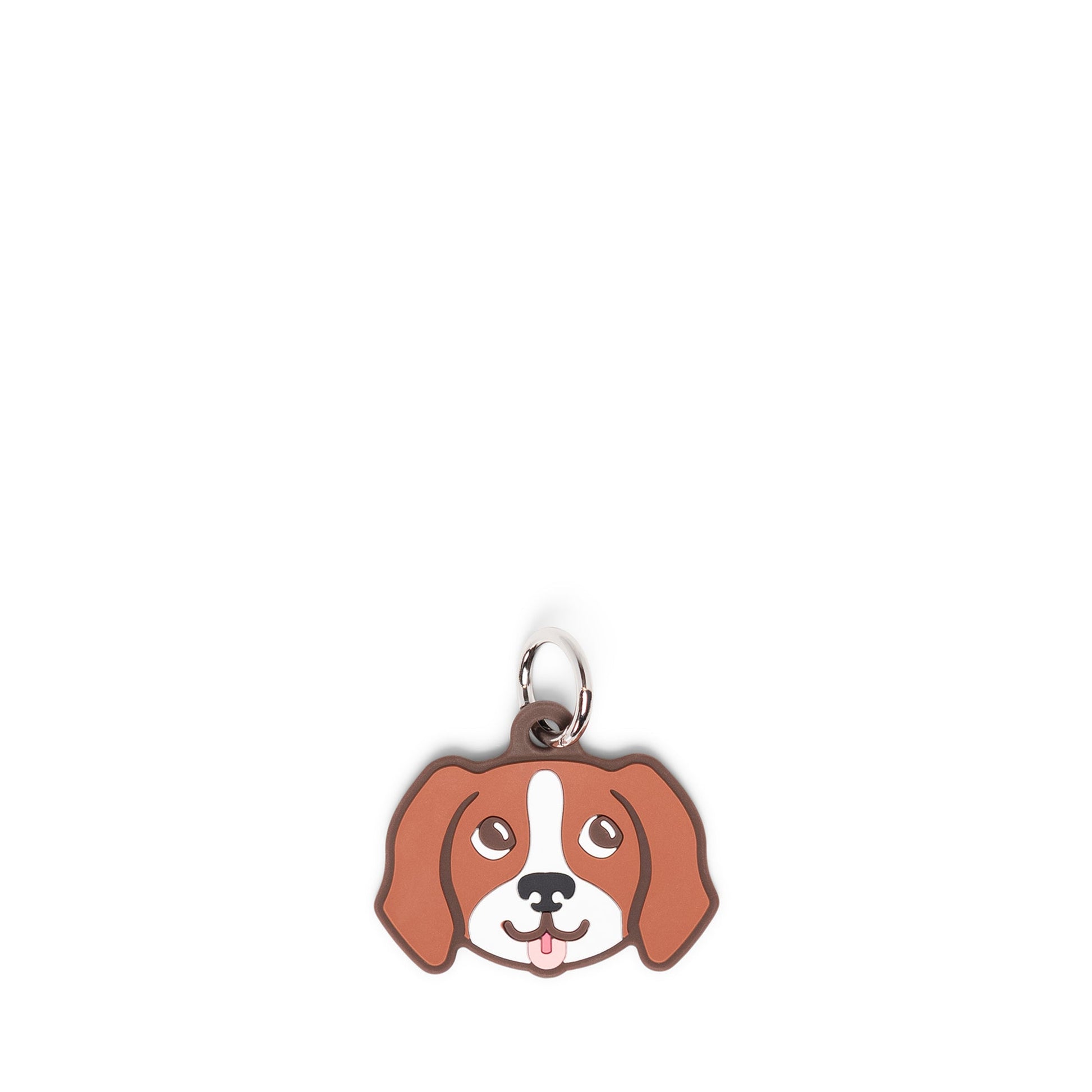 Brown Dog