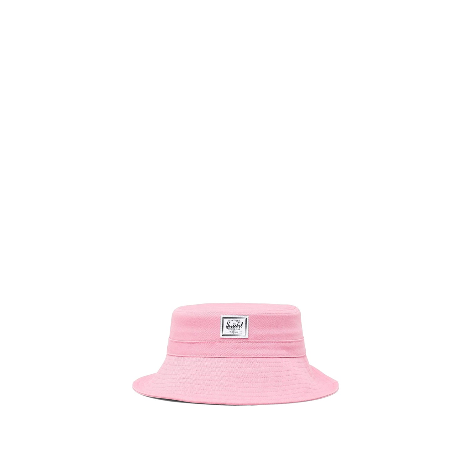 Cashmere Rose
